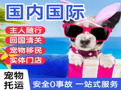 二连浩特赛乌素航空物流国际宠物托运 【国